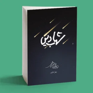 شهاب دین