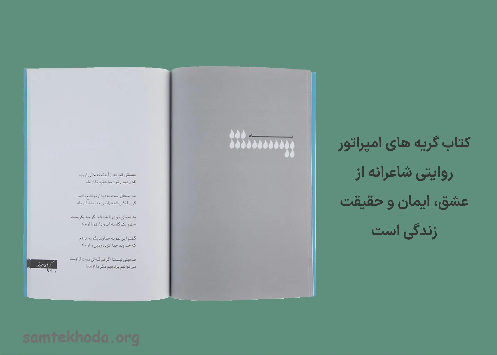 گریه های امپراتور2